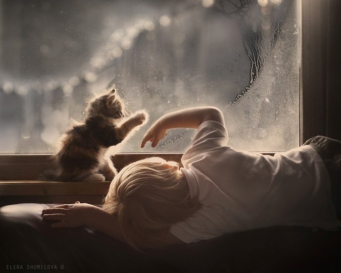 bé và mèo bên cửa sổ, trẻ dễ nghe lời