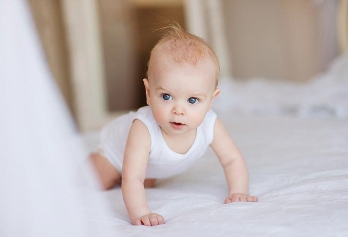 Khả năng nhận thức của bé 6 tháng tuổi phát triển vượt bậc.