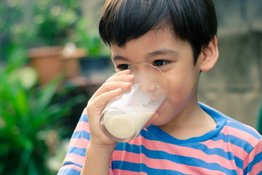 Sữa thực vật hay sữa hạt có thật sự giàu dinh dưỡng và thay thế được sữa bò?