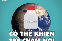 Phthalate: Hóa chất khiến trẻ chậm nói| ODP FACTS