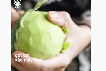 Làm kem bơ mát lạnh mùa hè cho bé yêu | ODP FACTS