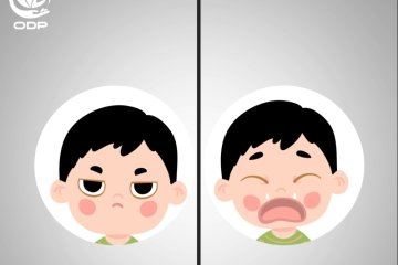 Cơn cáu giận của trẻ dưới góc nhìn khoa học | ODP FACTS