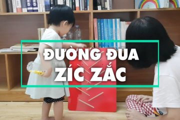 Trí não & Nhận thức