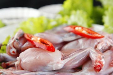 Có nên cho trẻ ăn ruốc cóc nếu trẻ đang bị suy dinh dưỡng?