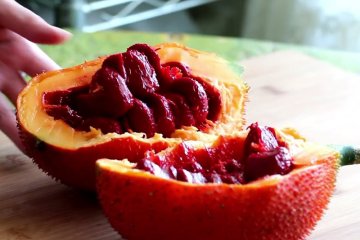 Cách làm dầu gấc cho bé ăn dặm cực đơn giản ngay tại nhà