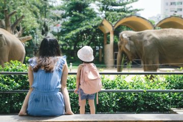 Tổng hợp 6 địa điểm vui chơi cho trẻ bị rối loạn tăng động giảm chú ý thú vị nhất