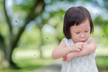 Trẻ bị côn trùng đốt bôi thuốc gì?