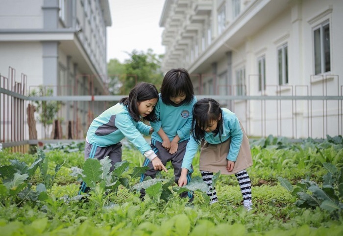 Có nên cho trẻ học tiền tiểu học hay không.